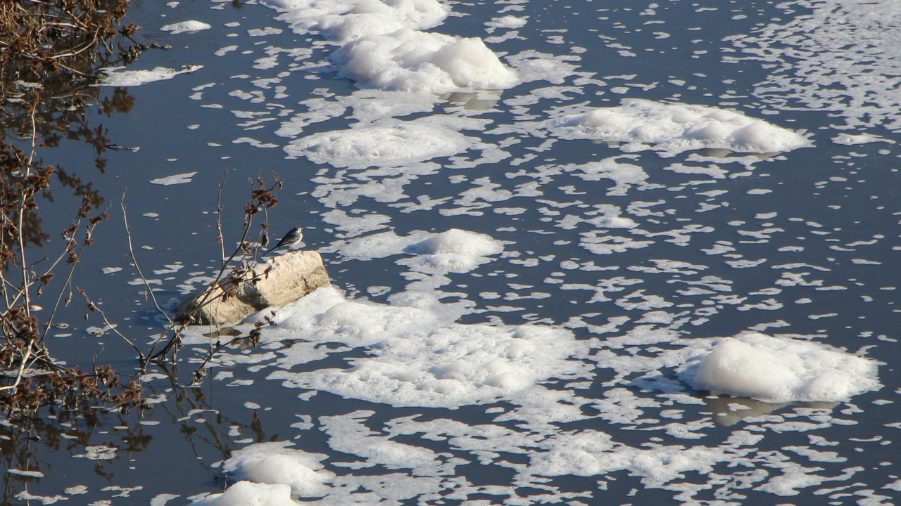 'Tersakan çayı'nda kirlilikten su yerine köpük akıyor